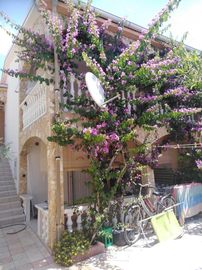 Apartman Ivica Vir Exterior photo